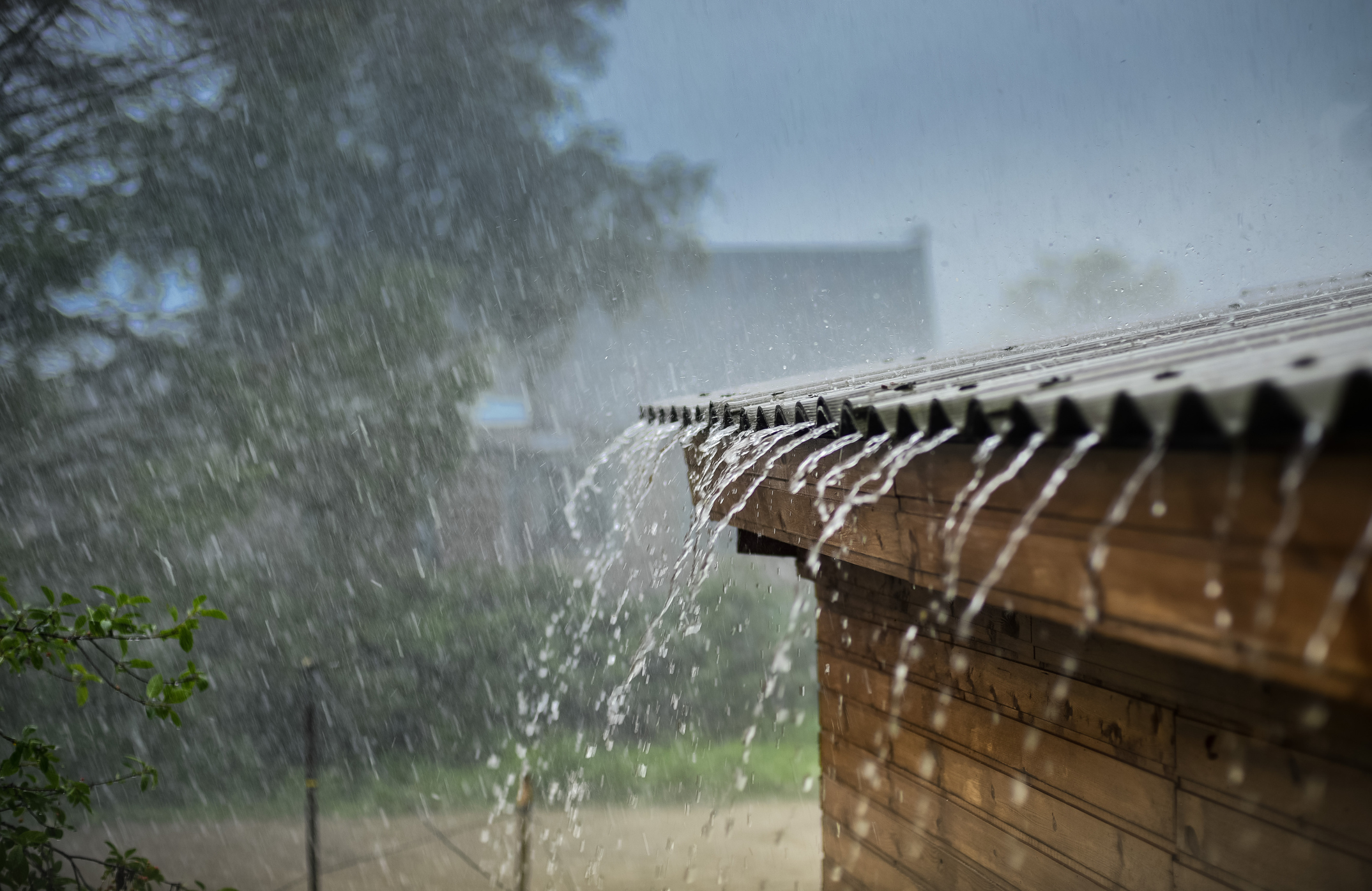 Protecting Your Property During Florida's Rainy Season