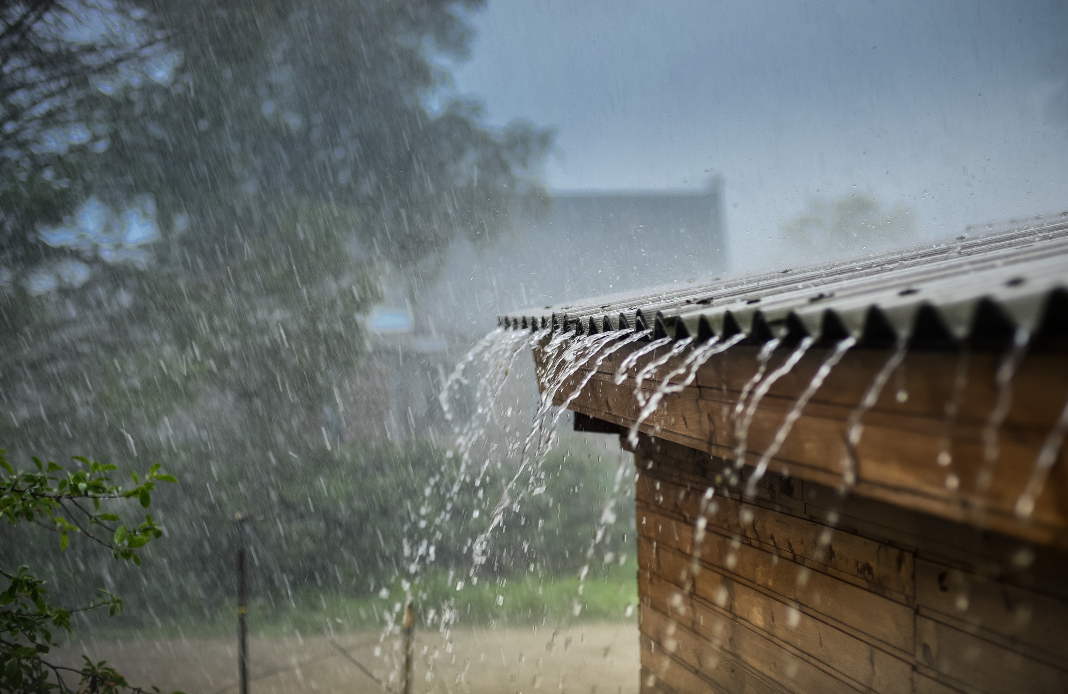 What Is The Other Name For Post Rain Season