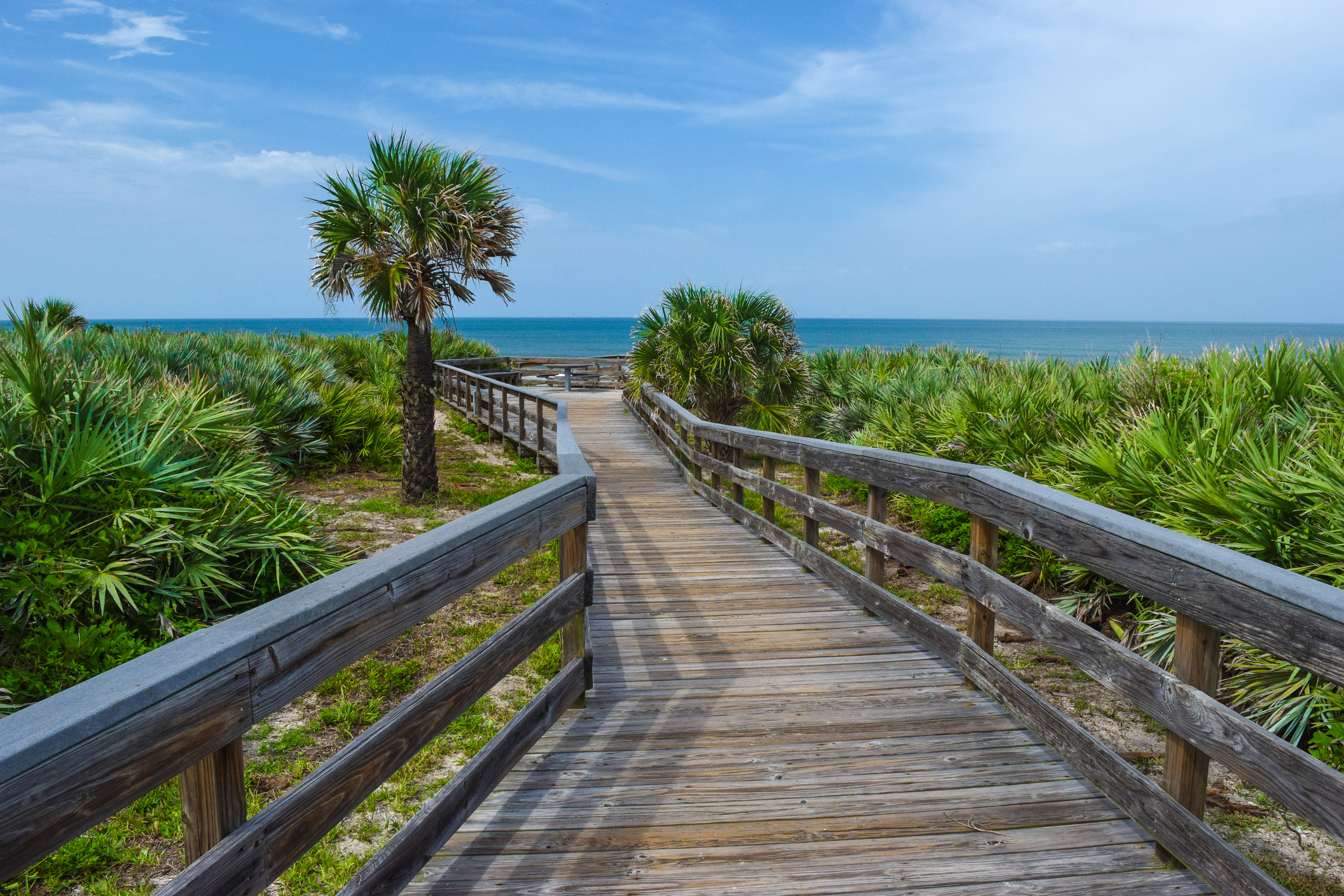 places to visit in dunedin florida