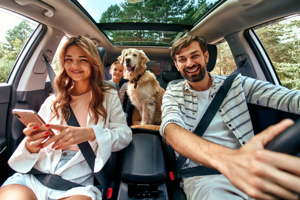 The whole family is driving for the weekend, including the family dog!